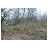 9539 Mascot Road | Mascot, TN 37806