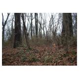 Lonsdale Pike | Knoxville, TN 37921