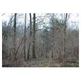 Lundy Road | Knoxville, TN 37920