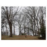 Presnell Road | Knoxville, TN 37924