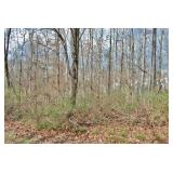 8112 W Cliff Drive | Knoxville, TN 37909