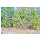 Bradford Village Way | Kingston, TN 37763