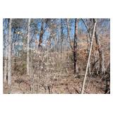 Iron Gate Drive | White Pine, TN 37890