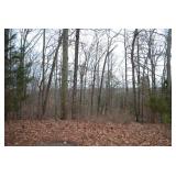 2010 Marshy Swamp Point | Knoxville, TN 37932