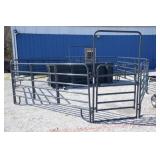 15PC CORRAL PANELS AND 4