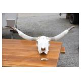 COW SKULL WITH HORNS