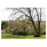 2441 Dodson Ave | Knoxville, TN 37917