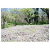 2628 W Blount Ave | Knoxville, TN 37920