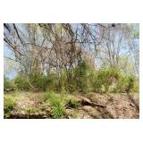 4804 Sims Rd | Knoxville, TN 37920