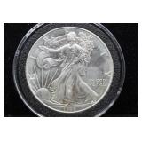 1996 SILVER EAGLE  GEM KEY DATE