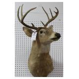 9 PT. WHITE TAIL BUCK MOUNT 9 PT. WHITE TAIL BUCK MOUNT