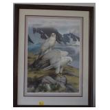 GYRFALCON BY TORY PETERESON SIGNED 315 OF 950 GYRFALCON BY TORY PETERESON SIGNED 315 OF 950