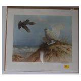 SNOWY OWL, BUFFLEHEAD, CROW-LAKE SHORE BY O.J. SNOWY OWL, BUFFLEHEAD, CROW-LAKE SHORE BY O.J.