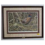 STRUTTING RING-NECKED PHEASANT BY ROBERT BATEMAN STRUTTING RING-NECKED PHEASANT BY ROBERT BATEMAN