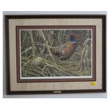 STRUTTING RING-NECKED PHEASANT BY ROBERT BATEMAN