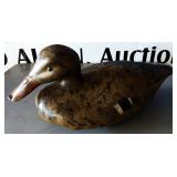 Duck Decoy