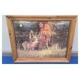 (DP-20) LEGENTARY WHITETAILS PHOTO