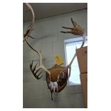 CARIBOU RACK - 30"