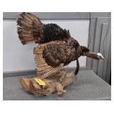 FULL TURKEY MOUNT
