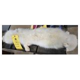 WHITE FOX PELT