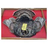 TURKEY FEATHER MOUNT