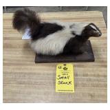 SMALL SKUNK