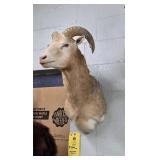 RAM SHOULDER MOUNT