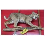 BOBCAT MOUNT - 26"
