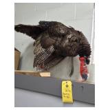 STANDING TURKEY