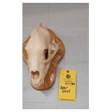 BEAR SKULL