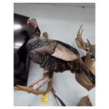 FULL TURKEY MOUNT