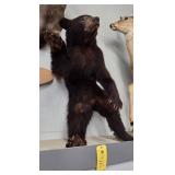 STANDING BLACK BEAR - 34"