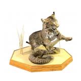 Bobcat and Rattlesnake mount