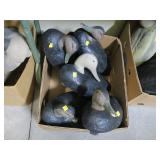 Lot, 5 styrofoam ducks