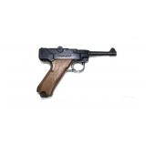 Stoeger Luger .22 LR Semi-Auto,