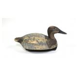 Ken Harris hen canvasback Ken Harris hen canvasback