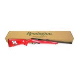 Remington Model 597 "Dale Earnhardt" .22LR