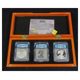 2006 American Silver Eagle 20th Anniversary set,