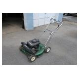 Briggs & Stratton 3.5 HP Mastercut power