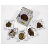 Lot, dog licenses and local tokens, 14 pcs.