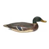 Jack Schwartz Illinois River decoy mallard drake