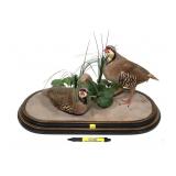 Double Chukar Partridge Taxidermy Mount