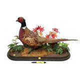 Cock Pheasant Taxidermy Mount