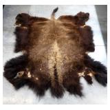 Tanned Full Buffalo Cape