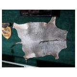 Blue Wildebeest  tanned cape,