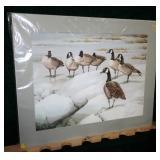Signed and numbered colored Goose Print,