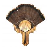 Wild Turkey Tail Feather Fan and 7.5" Beard on