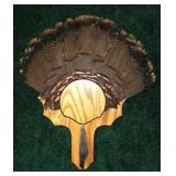 Wild Turkey Tail Feather Fan and 8.5" Beard on