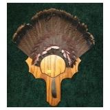 Wild Turkey Tail Feather Fan and 6" Beard on Oak
