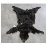 Tanned Black Bear Cape, 4